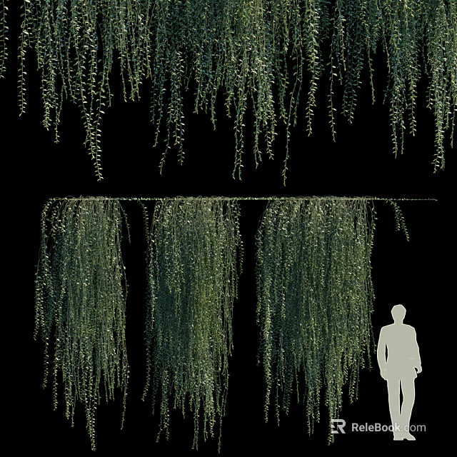 Lush Hanging Vines With Cascading Green Leaves Against Black Background And Human Silhouette 3d model 