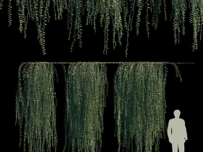Lush Hanging Vines With Cascading Green Leaves Against Black Background And Human Silhouette 3d model