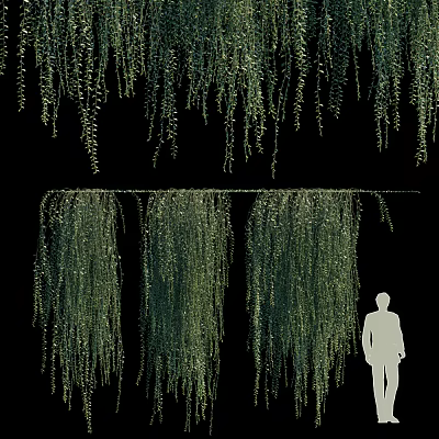 Lush Hanging Vines With Cascading Green Leaves Against Black Background And Human Silhouette 3d model