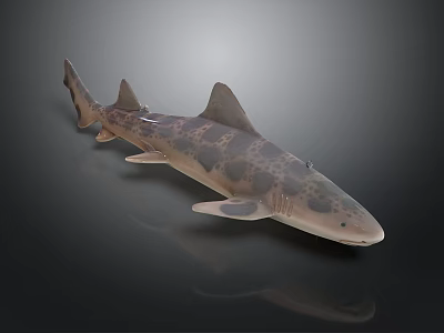 Spotted Shark 3D Rendered Model With Detailed Body Patterns And Smooth Texture 3d model