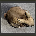 Brown Rabbit Sculpture Sitting On Gray Pad With Detailed Ears And Eyes