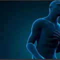 Advanced Medical Device for 3D Heart Visualization and Cardiac Health Monitoring