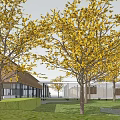 Modern Sales Office Building With Wooden Walls Columns And Outdoor Seating Areas