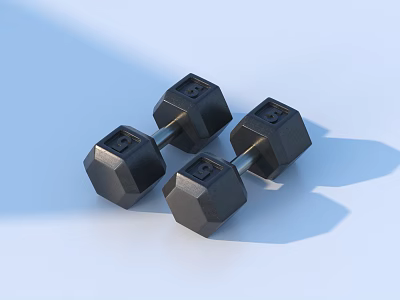 Solid Cast Iron Black Hexagonal Dumbbells For Home Gym Strength Training Equipment 3d model
