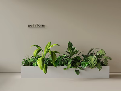 Modern Indoor Landscape With White Planter Box And Various Green Leafy Plants 3d model