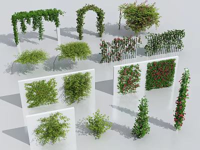 Various Decorative Garden Vines With Arches Screens And Wall Design Elements 3d model