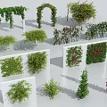 Various Decorative Garden Vines With Arches Screens And Wall Design Elements