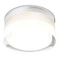 Modern White Ceiling Light With Clear Glass Shade For Interior Decor 3d model