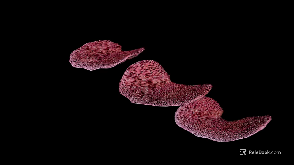 Red Textured Aquatic Animals With Soft Body Structures On Black Background 3d model 