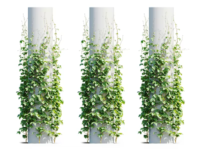 Green Vines Climbing White Columns With Lush Foliage And Leafy Growth 3d model