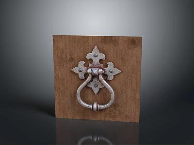 Decorative Metal Door Knocker On Rustic Wooden Panel With Intricate Design 3d model