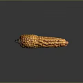 Shiny Yellow Orange Corn Cob With Ripe Kernels On Gray Background 3d model