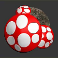 Red Mushrooms With White Spots Growing On Soil And Green Grass