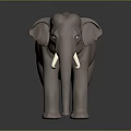 Detailed Brown Elephant Model with White Tusks Standing on Dark Background