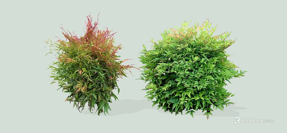 Vibrant Garden Shrubs With Red Green Foliage And Round Shape Design 3d model 
