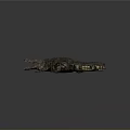 Crocodile Alligator Nile Crocodile carnivore reptile cold-blooded animal reptile 3d model