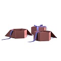 Gift box packaging box 3d model