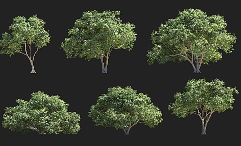 Garden Shrubs Tree Wings Apple Mallow Sycamore Landscape Tree Pond Scopes Clusterous Solitary Tree Planting 3d model