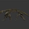 Ancient Turtle Reptile Fossil Skeleton Featuring Complete Shell And Limb Bones