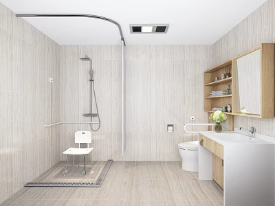 Modern Bathroom Interior With Shower Area Grab Bars Stool Toilet Sink And Shelf 3d model