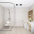 Modern Bathroom Interior With Shower Area Grab Bars Stool Toilet Sink And Shelf