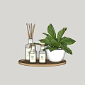 Perfume Cosmetics Display With Aromatic Bottles Reed Diffusers And Green Plant On Wooden Tray
