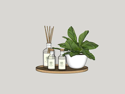 Perfume Cosmetics Display With Aromatic Bottles Reed Diffusers And Green Plant On Wooden Tray 3d model
