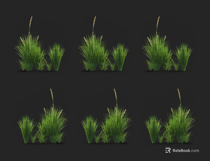 Multiple Groups of Green Grass with Various Heights on Black Background 3d model 
