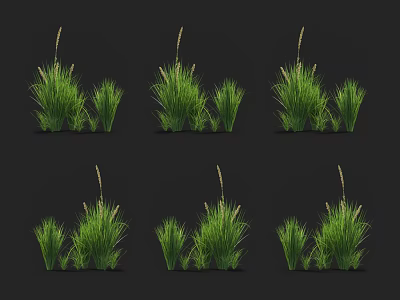 Multiple Groups of Green Grass with Various Heights on Black Background 3d model