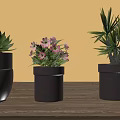 Three Potted Succulent Pink Flowering And Palm Like Plants On Wooden Table Brown Background
