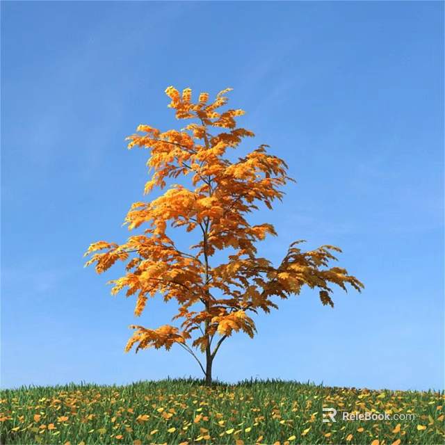 Tall Tree With Yellow Leaves Growing In Green Grass Under Blue Sky 3d model 