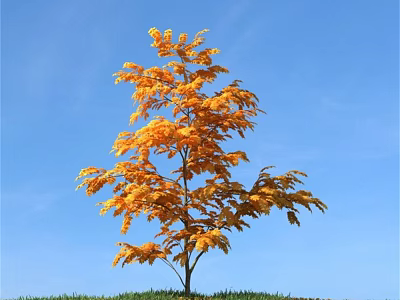 Tall Tree With Yellow Leaves Growing In Green Grass Under Blue Sky 3d model