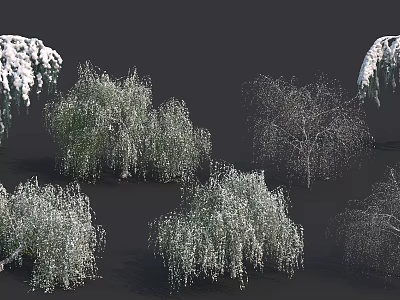Snow Covered Trees In Winter With Different Shapes And Natural Growth Forms 3d model