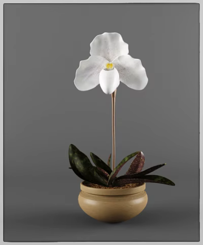White Orchid Bonsai Potted Plant With Dark Green Leaves And Brown Pot 3d model