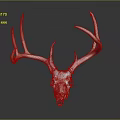 Modern Skull Animal Head Bone Horn Deer Head Bone Fossils 3d model
