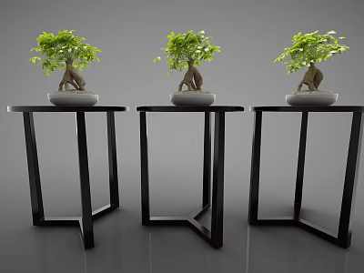Bonsai Potted Plants on Three Black Tables with Green Leaves and Root Patterns 3d model