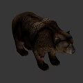 Realistic Brown Bear Standing On White Background With Detailed Fur And Posture