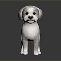 Cute Gray And White Puppy With Fluffy Fur Standing On Black Background
