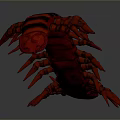 Detailed Red And Black Striped 3D Centipede Model On Grey Gradient Background