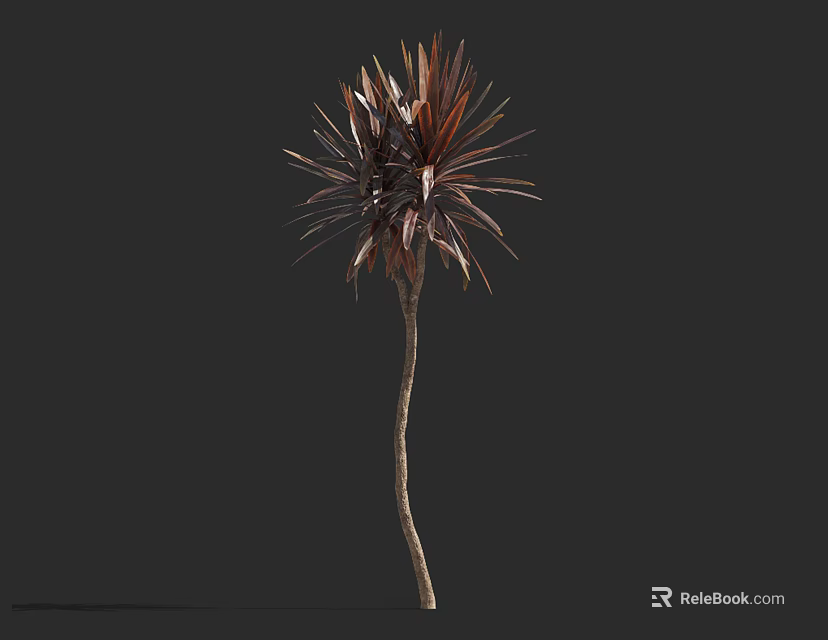Tall Ornamental Tree With Brown Red Foliage On Dark Isolated Background 3d model 
