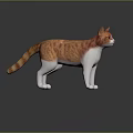 Orange striped and white cat standing on reflective black surface with gray background