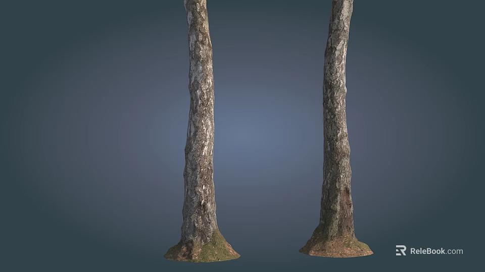 Two Tree Trunks With Natural Bark Texture And Grass At Base On Blue Background 3d model