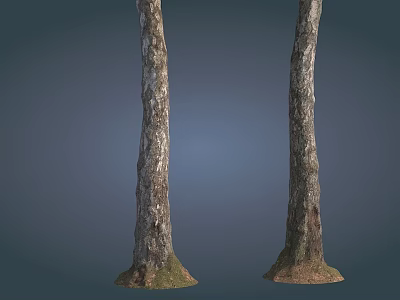 Two Tree Trunks With Natural Bark Texture And Grass At Base On Blue Background 3d model