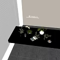 Aquatic Plants Display In Glass Vases On Black Table Indoor Setting