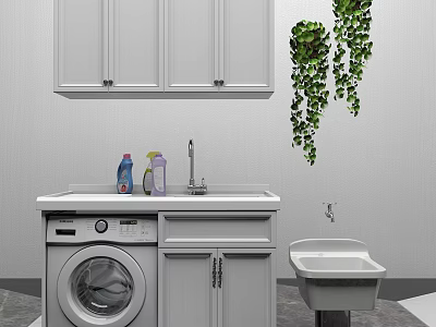 Laundry Room Setup With Washing Machine Wall Cabinet Sink And Green Plants 3d model