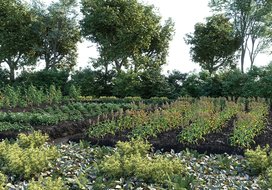 Beautiful Garden Landscape With Diverse Plants Tall Trees And Organized Planting Beds 3d model 