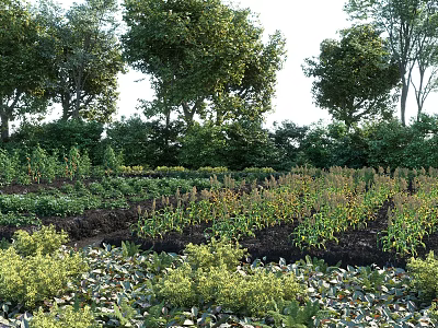 Beautiful Garden Landscape With Diverse Plants Tall Trees And Organized Planting Beds 3d model