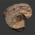 Artisanal Baked Bread With Rustic Crusty Texture Hollow Center And Golden Brown Color