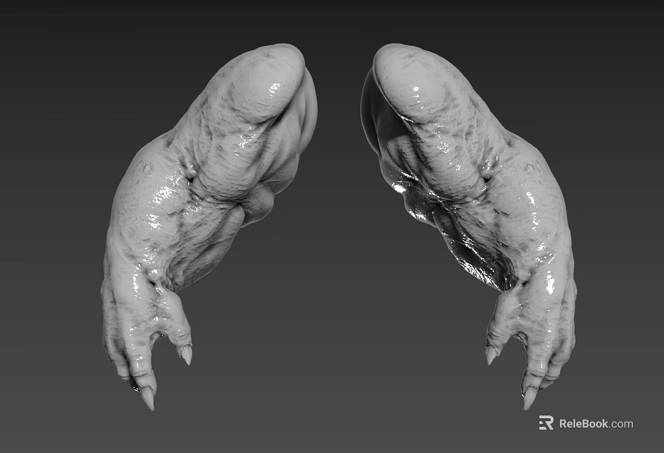 Mythical Creature Clawed Limbs With Wet Textured Skin And Realistic Details 3d model 