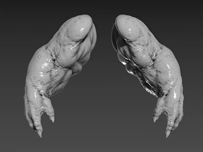 Mythical Creature Clawed Limbs With Wet Textured Skin And Realistic Details 3d model
